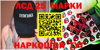 гидра Будённовск