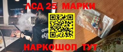 гидра Будённовск