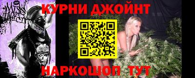 гидра Будённовск