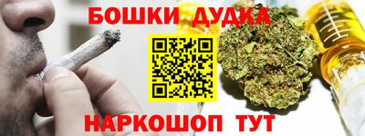 гидра Будённовск