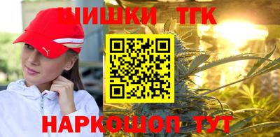 гидра Будённовск