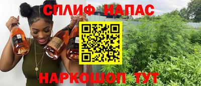 гидра Будённовск