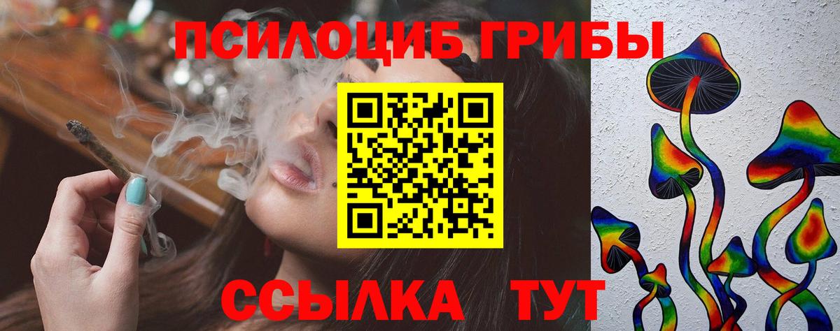 Махачкала  как найти закладки  Вход с VPN  Псилоцибиновые грибы мицелий  Галлюциногенные грибы MAGIC MUSHROOMS 